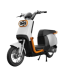 XGP 500W Electric Motorbike