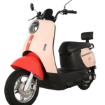 Xingdonggui 1000W Electric Motorbike