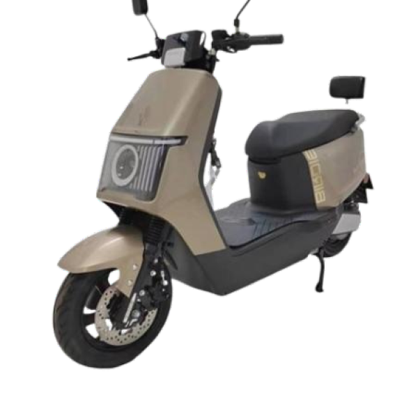 Cuicai 1200W Electric Motorbike